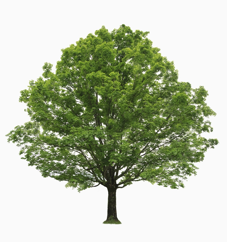 ○○○○○○○○イメージ
